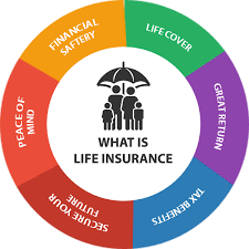 Image for What is Life Insurance ?